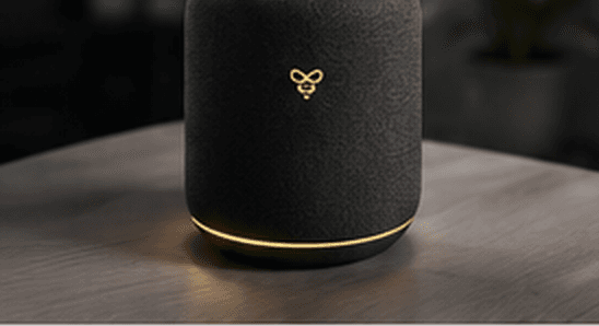 Bumblebee smart speaker on a desk with a warm gold ring light