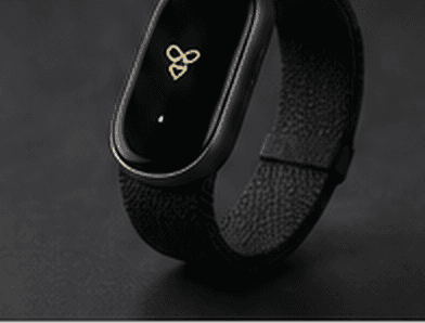 Bumblebee wearable band with the bee mark on its display
